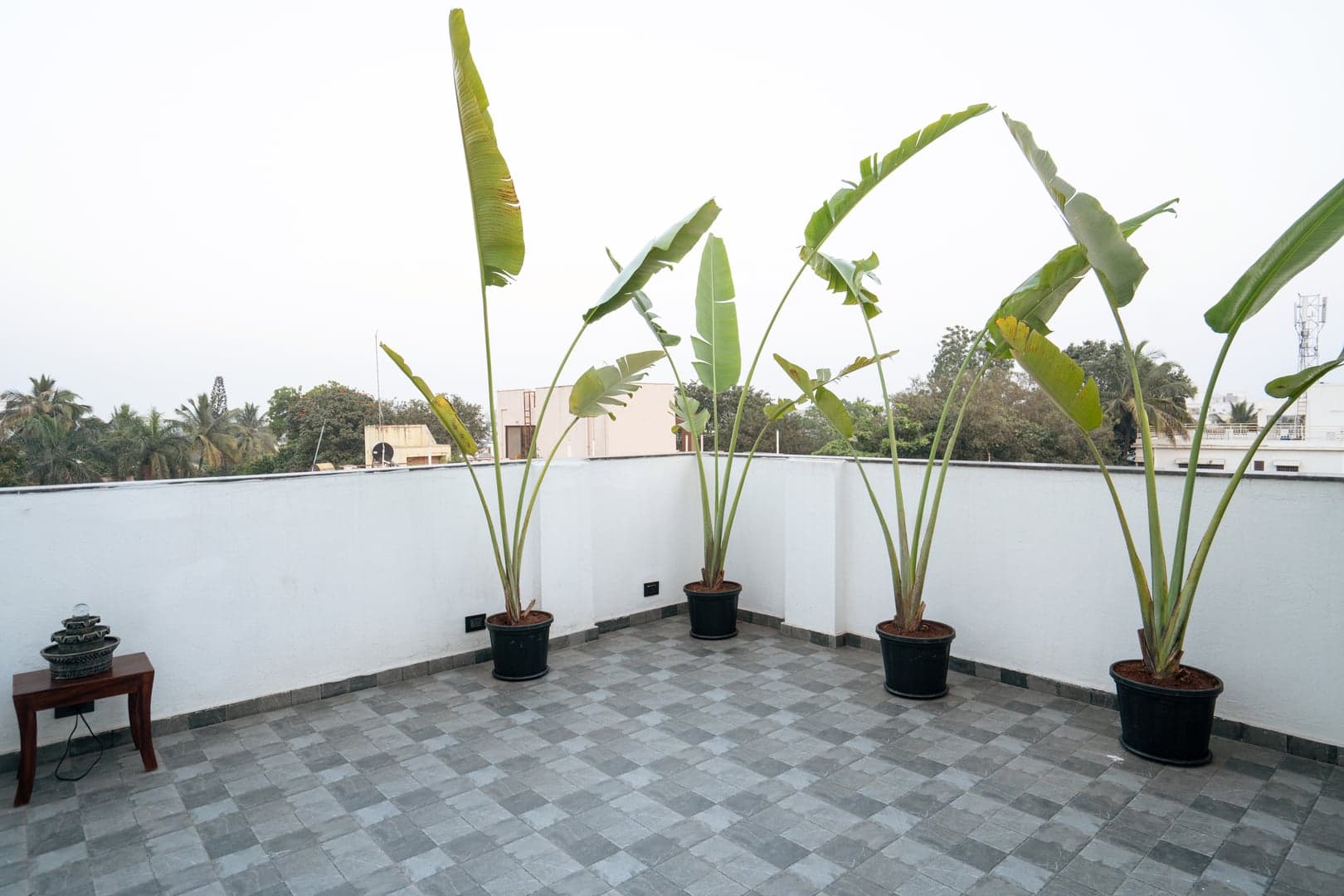 46 Elite Enclave, 3BHK